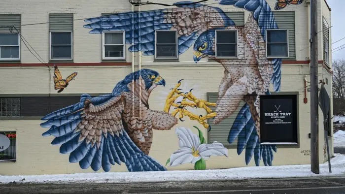 two birds mural
